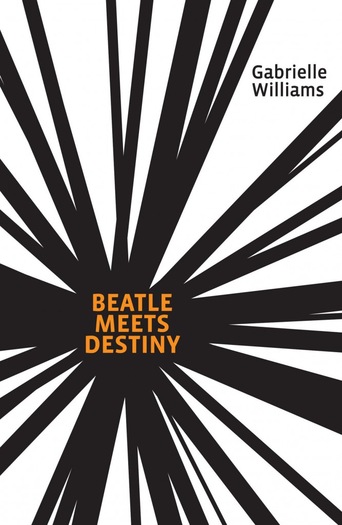 beatle-meets-destiny-cover-hi-res