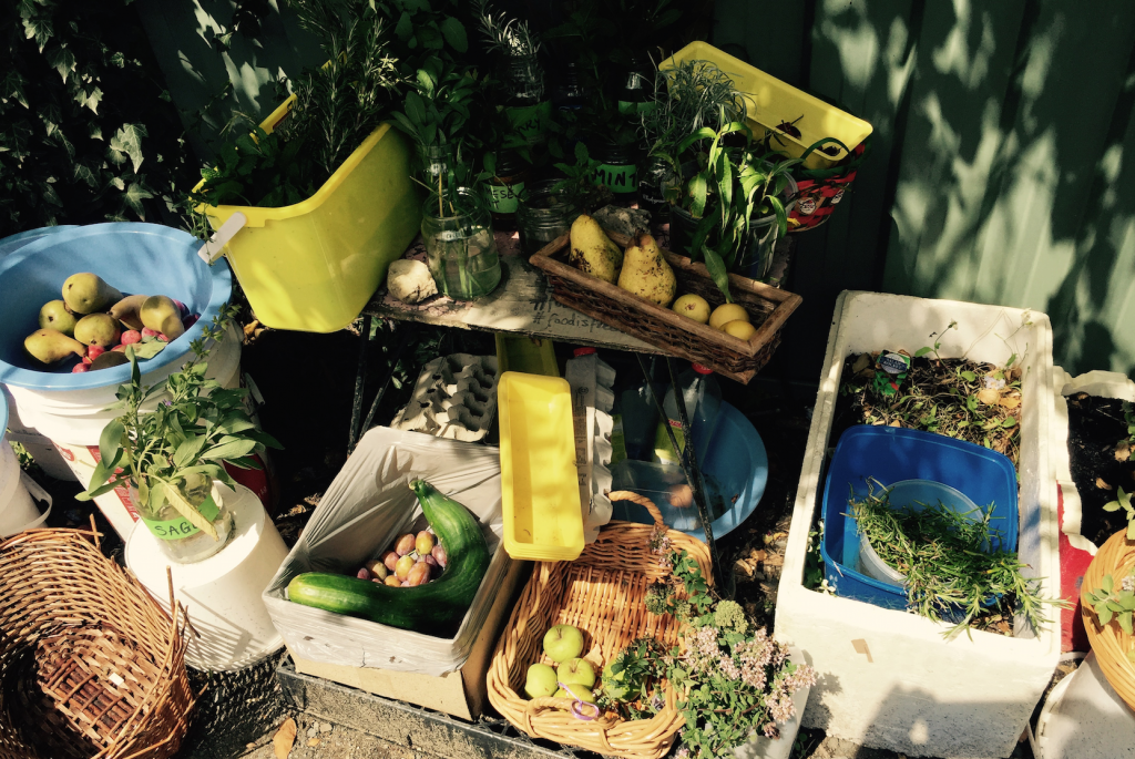 Ballarat's New Rebellion The Food is Free Laneway Onya MagazineOnya